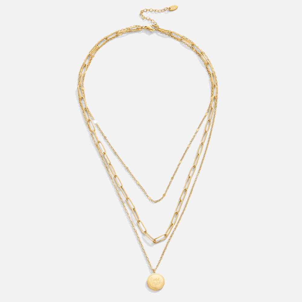 Janie Coin Link Necklace